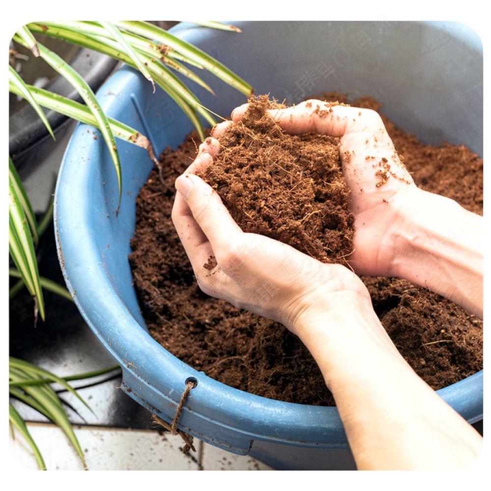High Absorption Coconut Coir S - Substrate Coconut Fiber review and price