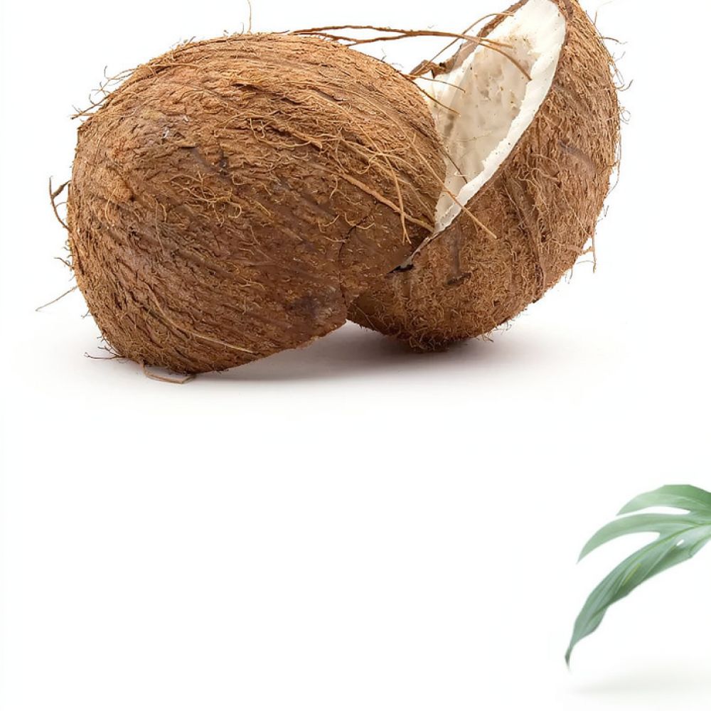 Premium Dehydrated Coconut Coi - Substrate Coconut Fiber review and price